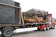 Renoldis Höllenbltz traf am 11.08.2014 ein (©Foto: Martin Schmitz)